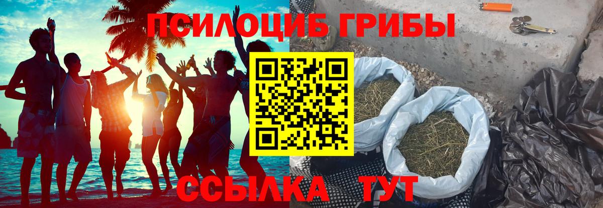 Галлюциногенные грибы Прокопьевск